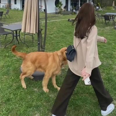 真情到永远 在线观看